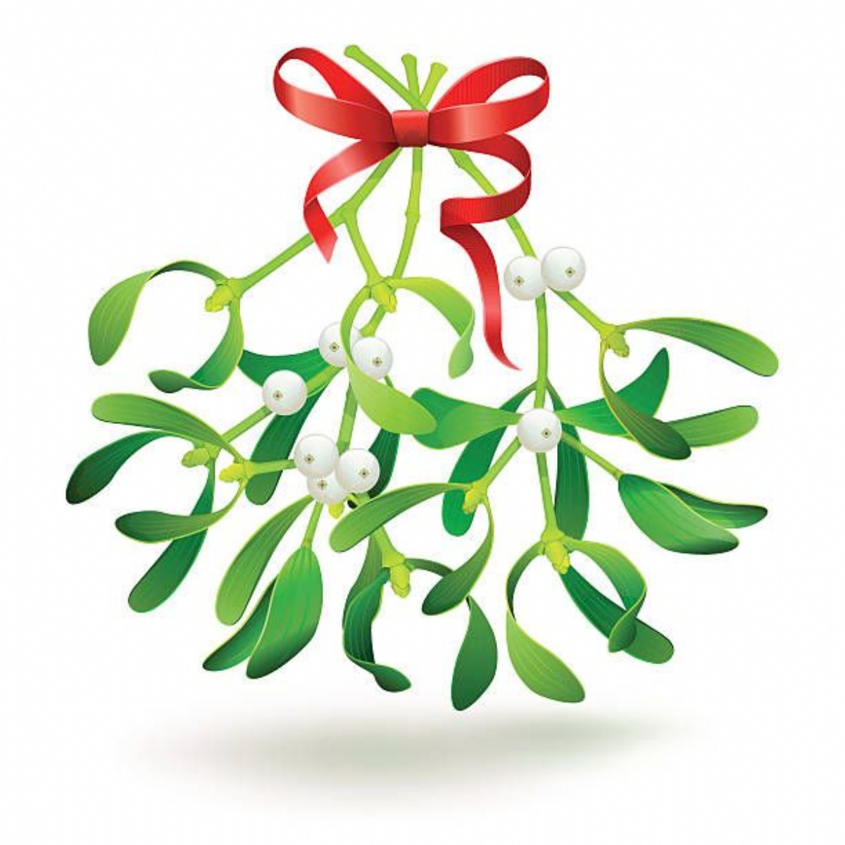 Mistletoe что это. Веточка омелы. Омела арт. Омела Новогодняя. Омела цветок Водолея.