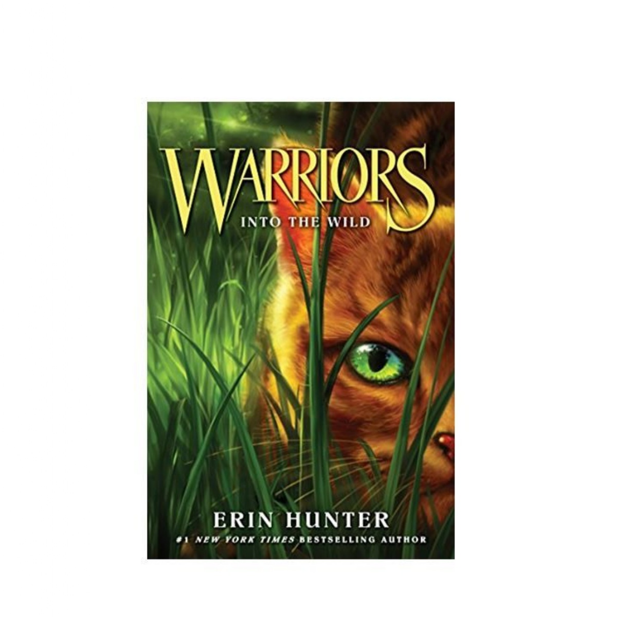 Upton Junior School - Mrs V recommends Warriors - Into the Wild by Erin  Hunter